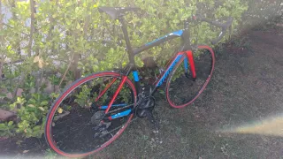 Wilier Triestina GTR Team 7.7kg