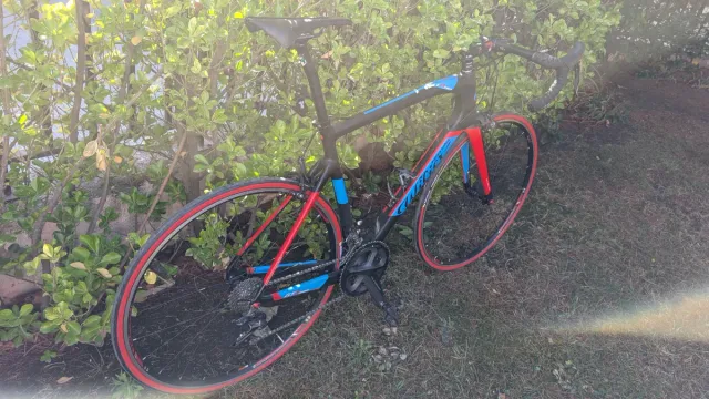 Wilier Triestina GTR Team 7.7kg