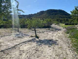 Terreno en venta en Moratalla