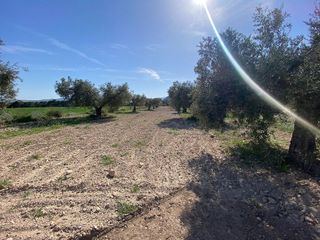 Terreno en venta en Moratalla