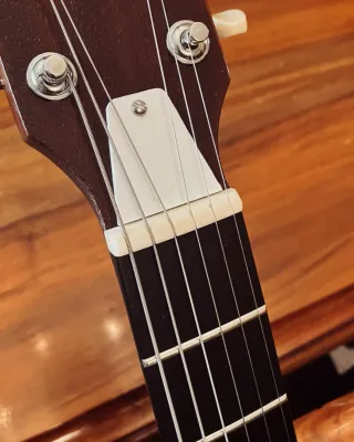 SG Melody Maker por encargo