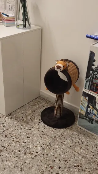 Tiragraffi a forma di leone gim cat