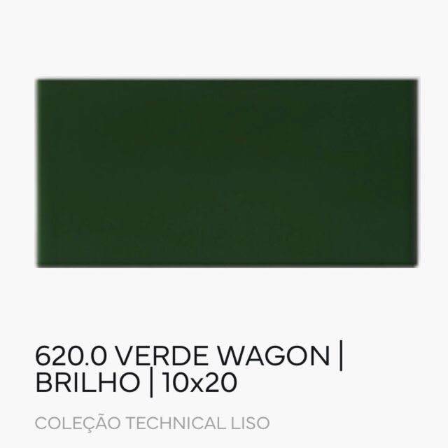 Azulejo blanco (4 m2) y verde (2 m2) 10x20 cm