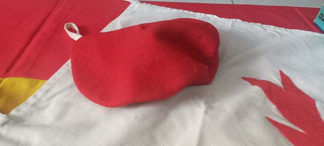 Lote Colección Militar Recreación Histórica