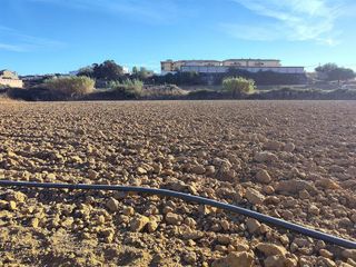 Terreno en venta en Lepe ciudad en Lepe