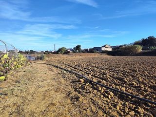 Terreno en venta en Lepe ciudad en Lepe