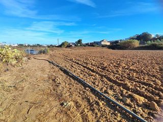 Terreno en venta en Lepe ciudad en Lepe