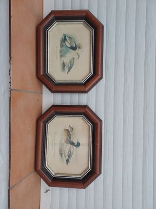 2 Cuadros Escena Naturaleza