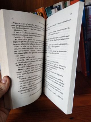 El tragaluz (Spanish Edition)