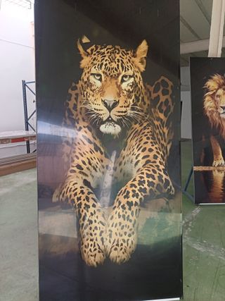 Placa decorativa caballo blanco