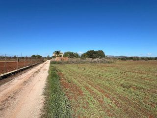 Terreno en venta en Campos