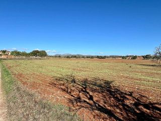 Terreno en venta en Campos