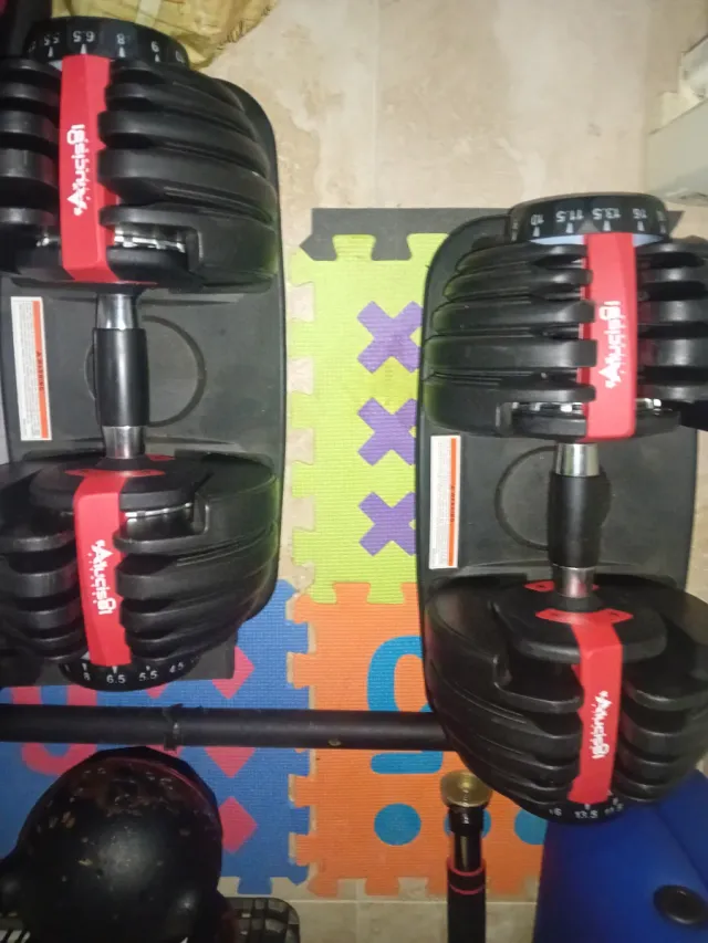 Mancuernas Ajustables 24kg (Set)