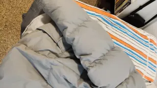 Plumas Pepe Jeans London Gris