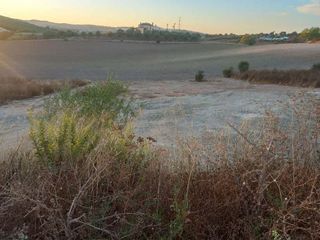 Terreno en venta en Arcos de la Frontera