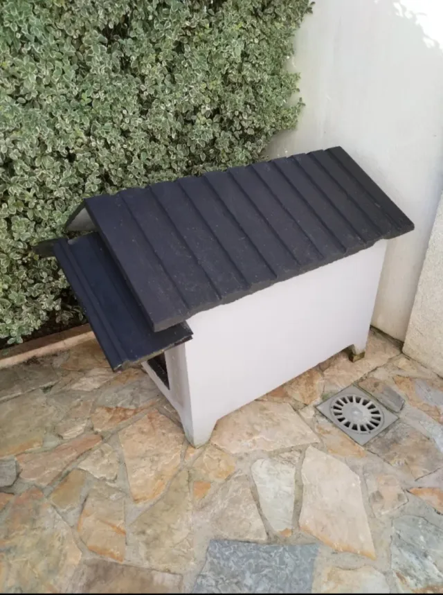Caseta exterior para perros