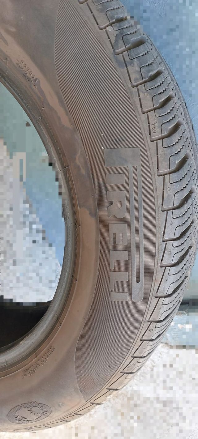 Neumático Pirelli 195/65 R15 91V M+S