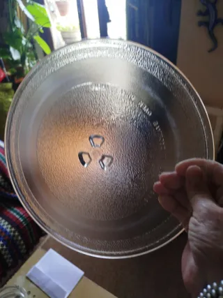 Plato de microondas.