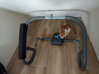 Máquina de abdominales Domyos