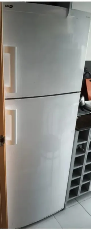 Frigorífico Saivod no Frost