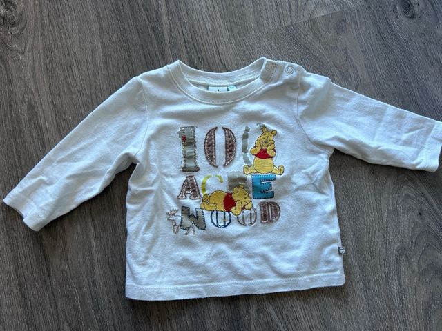 Camiseta Winnie the Pooh 100 Acre Wood