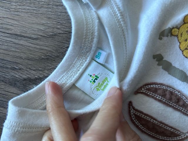 Camiseta Winnie the Pooh 100 Acre Wood