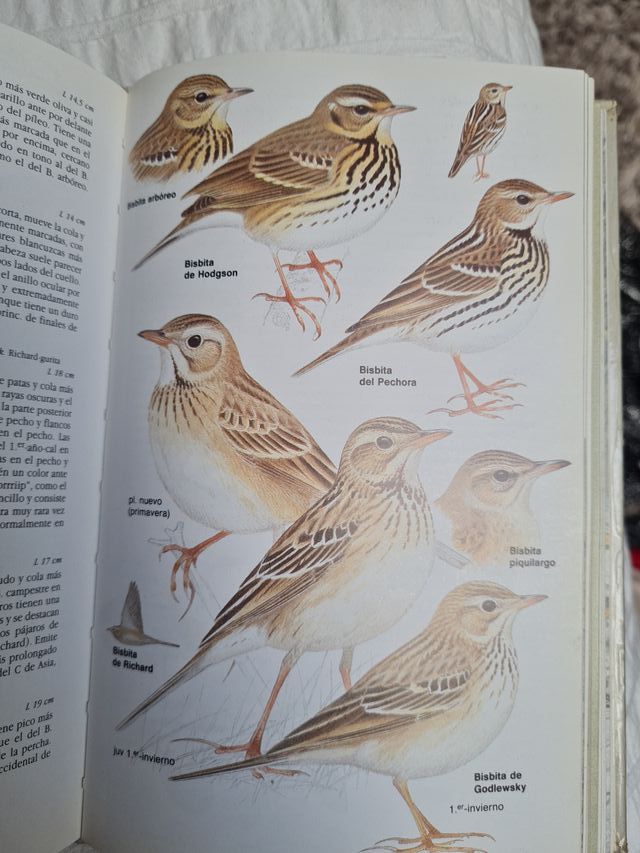 Aves de Europa: con el Norte de África y el Pró...