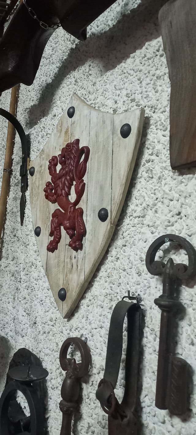 Escudo Hierro y Madera Reino León
