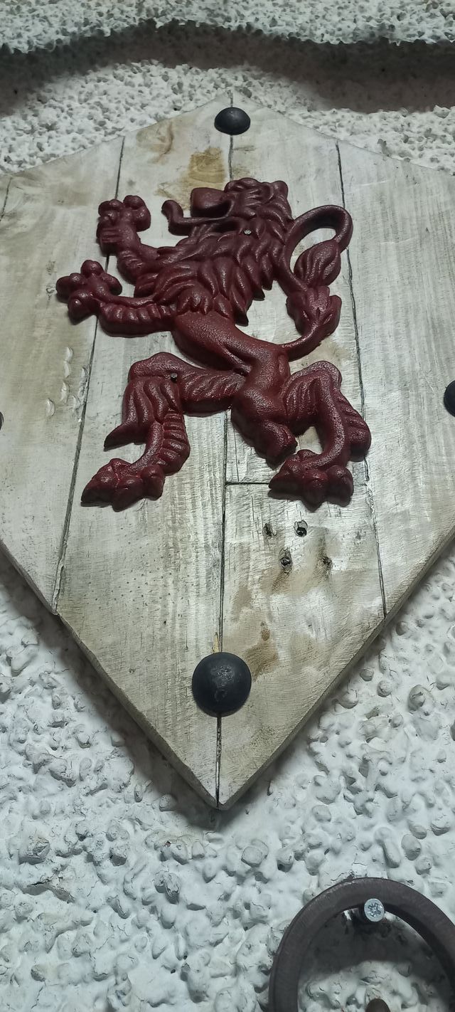 Escudo Hierro y Madera Reino León