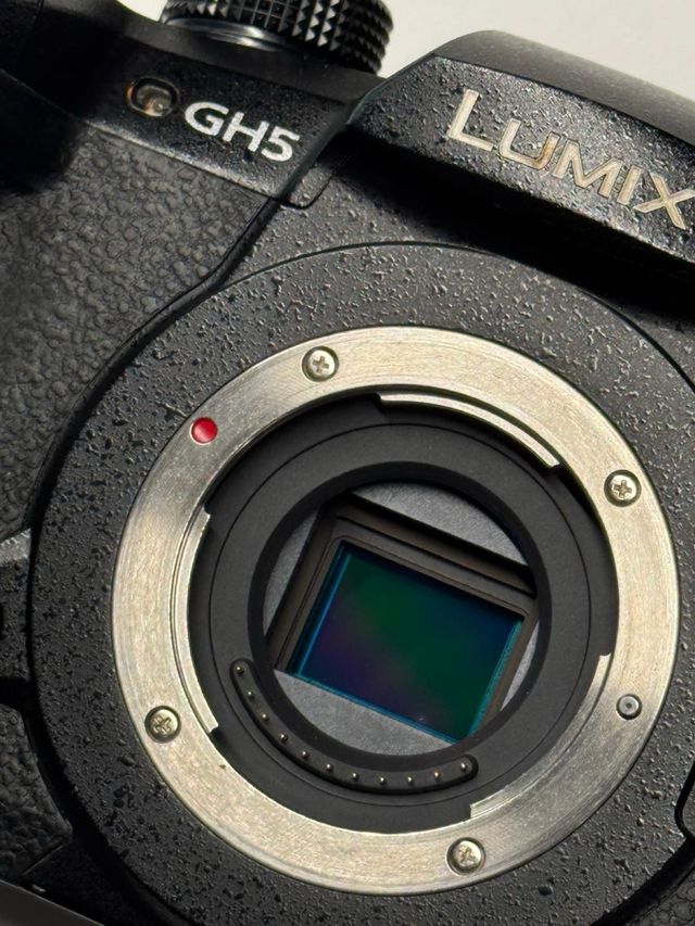 Panasonic LUMIX GH5 Cámara