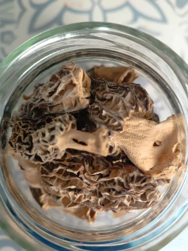 Funghi Colmenillas disidratati