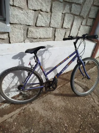 CHOLLO. Bicicleta de montaña morada Giant