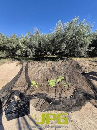 Terreno en venta en Campello Pueblo en Campello (el)