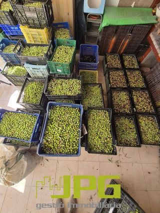 Terreno en venta en Campello Pueblo en Campello (el)