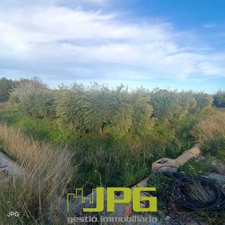 Terreno en venta en Campello Pueblo en Campello (el)