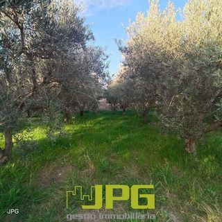 Terreno en venta en Campello Pueblo en Campello (el)