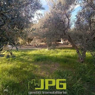 Terreno en venta en Campello Pueblo en Campello (el)