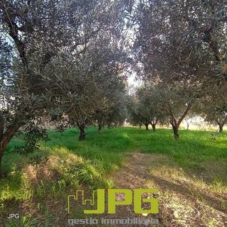 Terreno en venta en Campello Pueblo en Campello (el)