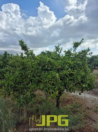 Terreno en venta en Campello Pueblo en Campello (el)