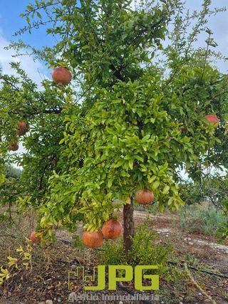 Terreno en venta en Campello Pueblo en Campello (el)