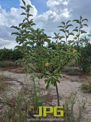Terreno en venta en Campello Pueblo en Campello (el)