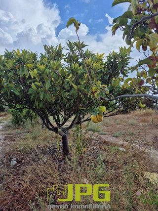 Terreno en venta en Campello Pueblo en Campello (el)