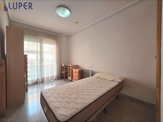 Piso en alquiler en Alcalde Felipe Mallol en San Vicente del Raspeig/Sant Vicent del Raspeig
