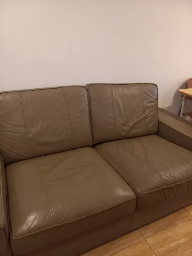 Sofá de piel 2 plazas