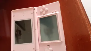 Nintendo DS Rosa con funda