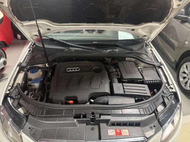 AUDI A3 CABRIOLET 1.6 TDI 105cv Ambition