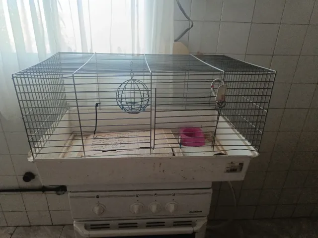 Jaula para conejo o roedor Regalo jaula conejo.