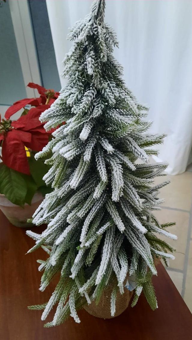 Albero di Natale innevato