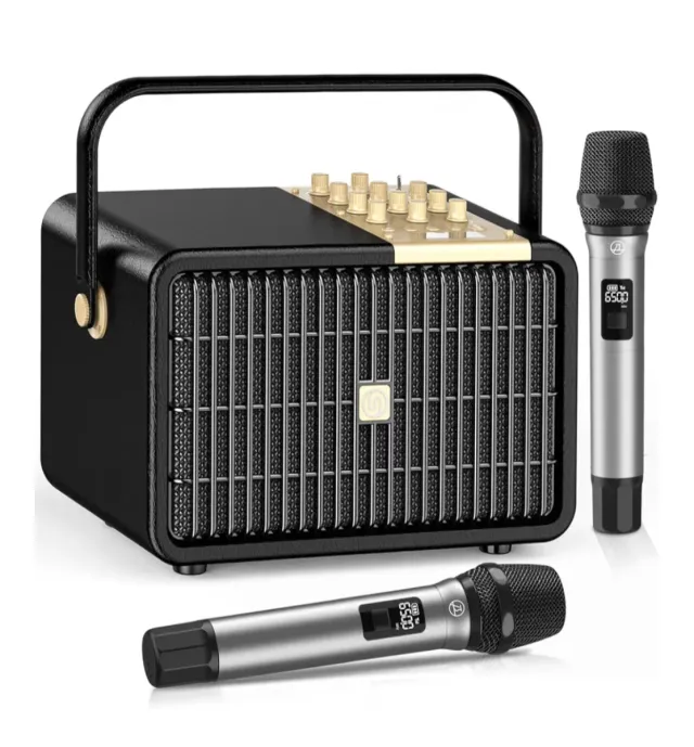 Equipo Karaoke con 2 Micrófonos