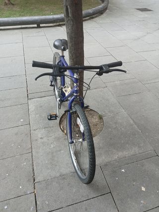 Bicicleta BH Energy Montaña Azul